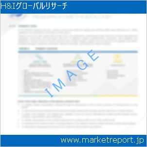 市場と産業調査レポートのイメージ